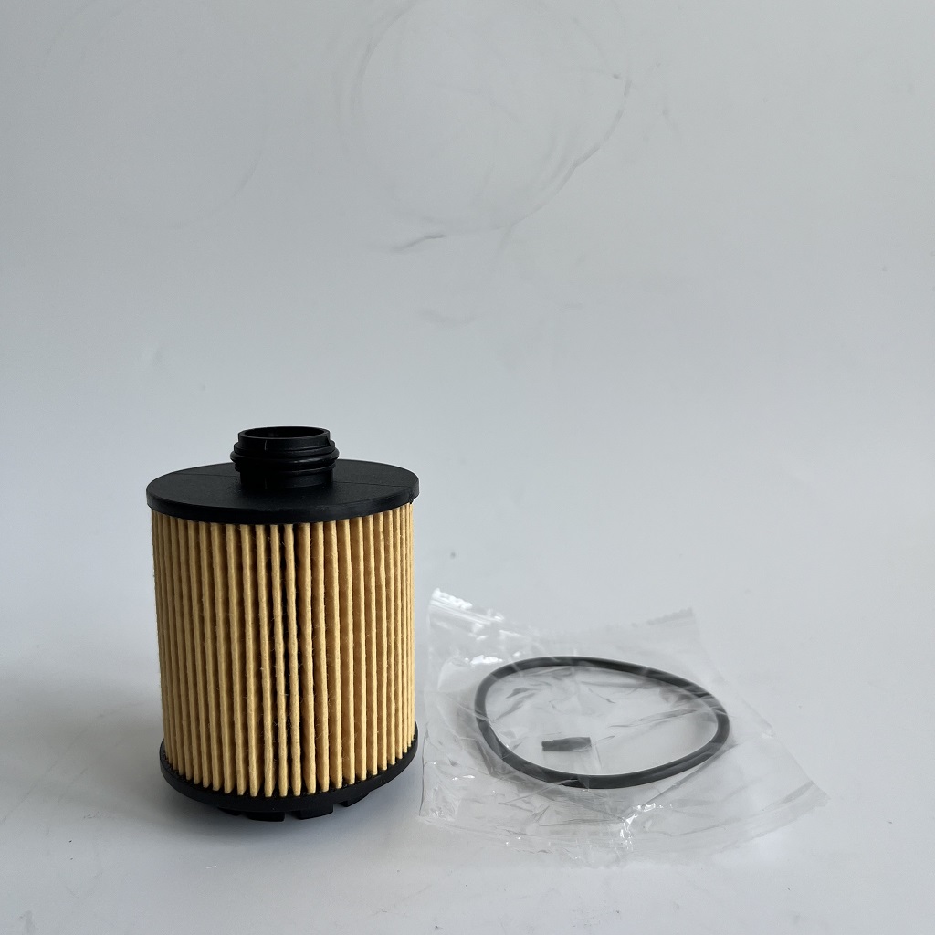 HU7043Z 1612565980 Oil Filter for PETGEOT