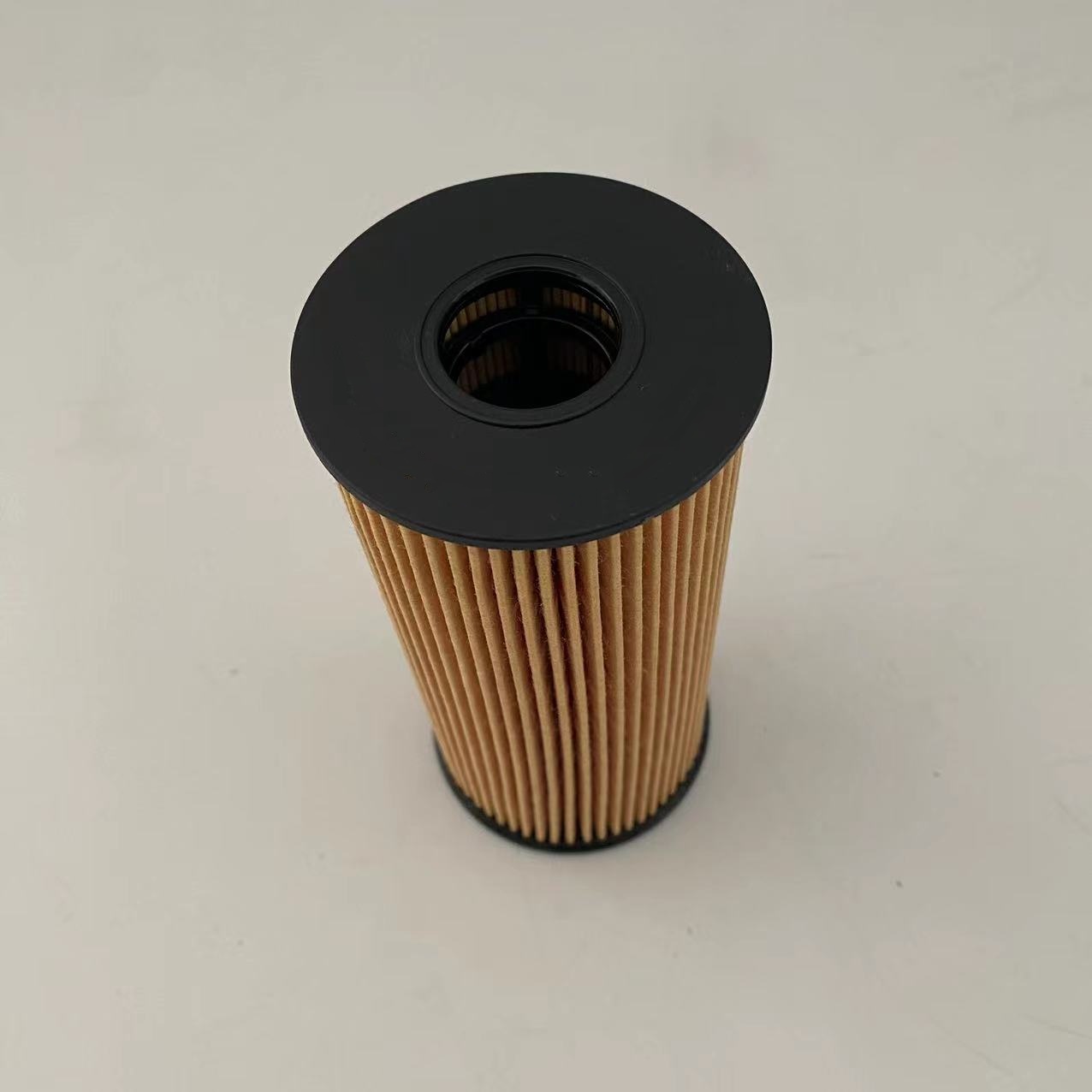 Oil Filters 1012014-FD2301